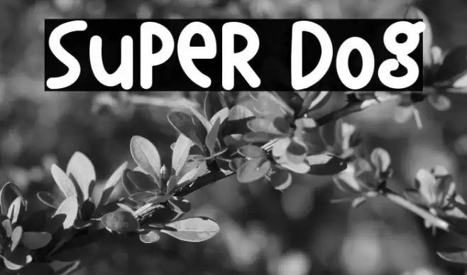 Super Dog Polices examples