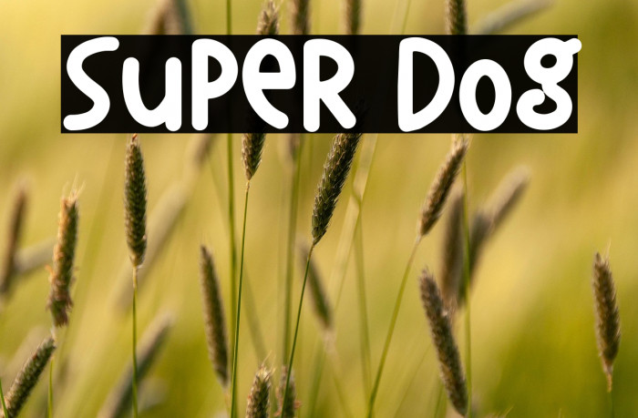 Super Dog Example 2