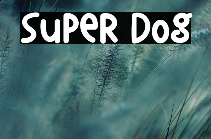 Super Dog Example 3