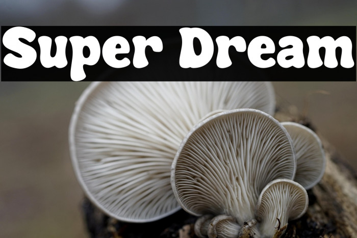 Super Dream Example 1