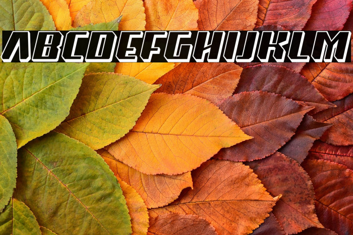 Super Drift 3D Example 3