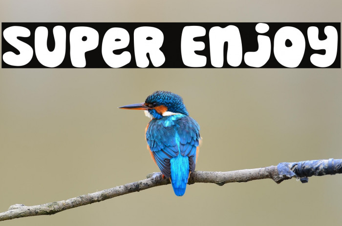 Super Enjoy Example 3