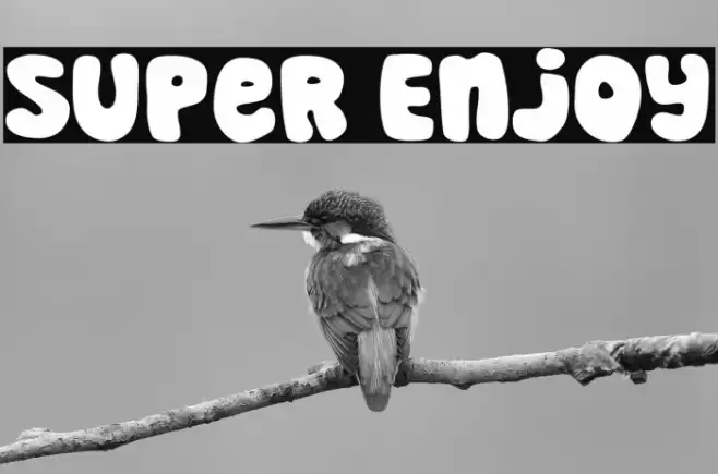Super Enjoy Font examples