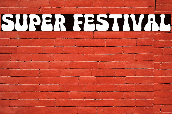 Super Festival Example 1