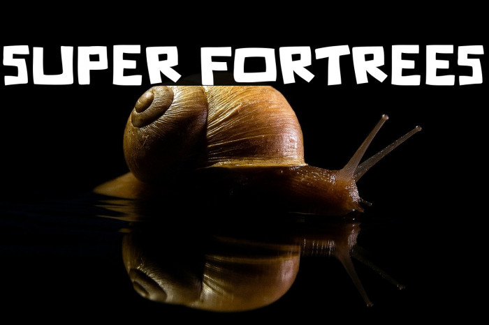 Super Fortrees Example 2