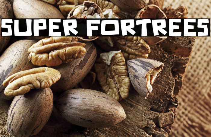 Super Fortrees Example 3