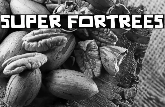 Super Fortrees फ़ॉन्ट examples