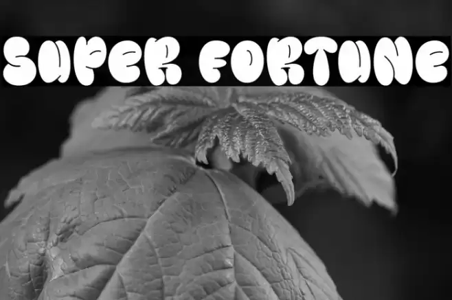 Super Fortune Font examples