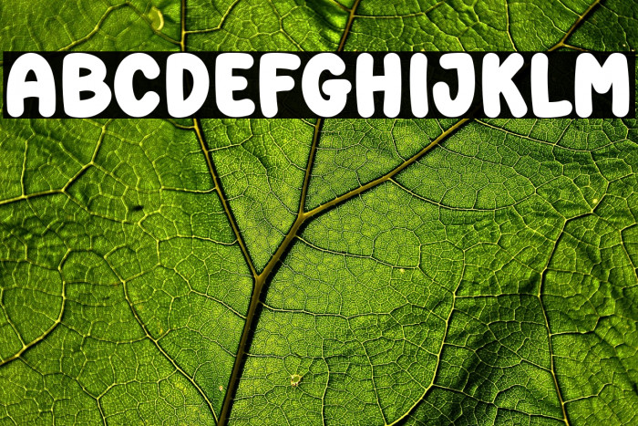 Super Fresh Example 2