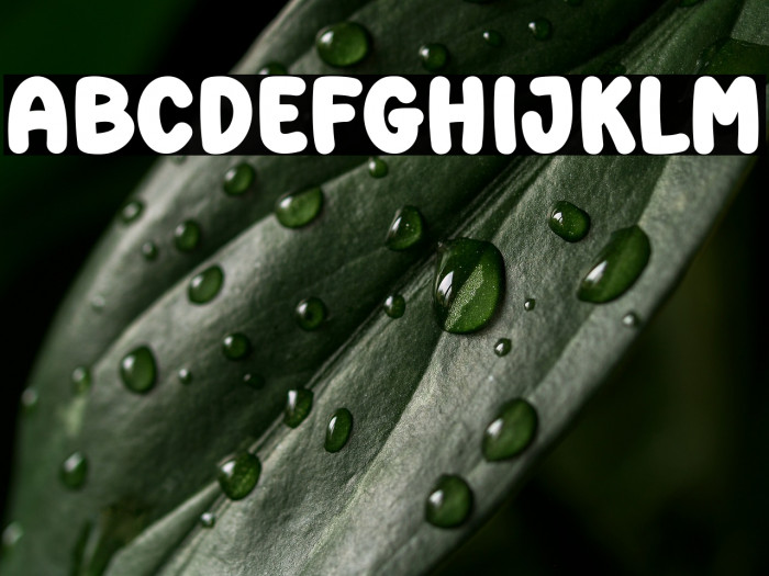 Super Fresh Example 3