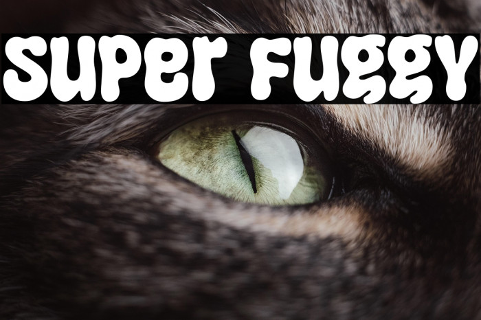 Super Fuggy Example 1