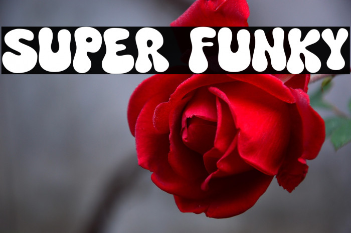 Super Funky Example 2