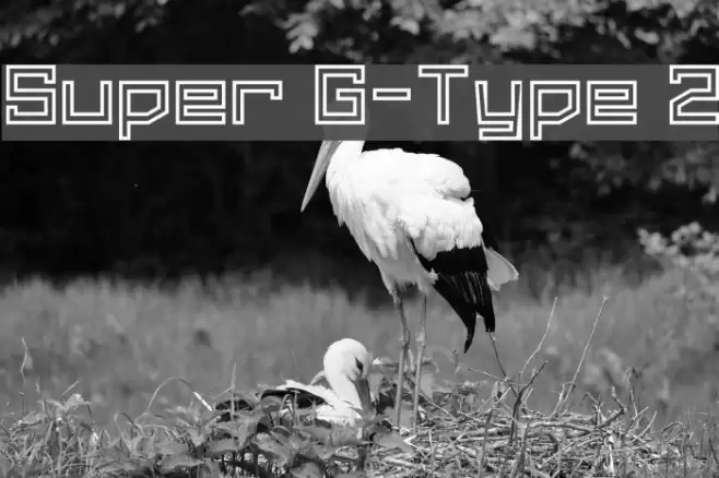 Super G-Type 2 フォント examples