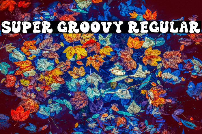 Super Groovy Regular Example 2