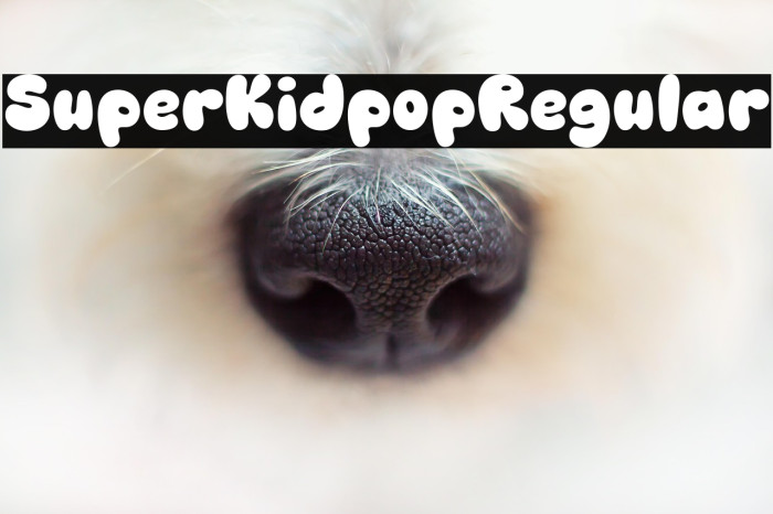 Super Kidpop Regular Example 2
