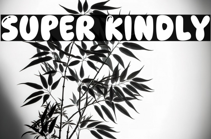 Super Kindly Example 3