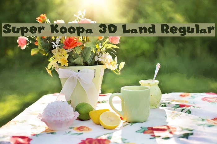 Super Koopa 3D Land Regular フォント examples