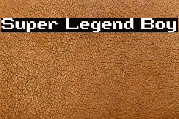 Super Legend Boy Example 1