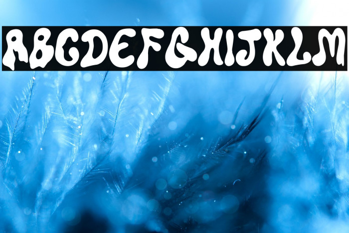 Super Liquida Example 2