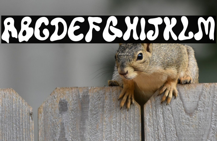 Super Liquida Example 3