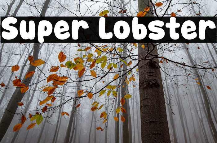 Super Lobster Example 3