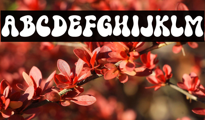 Super Magic Regular Example 1