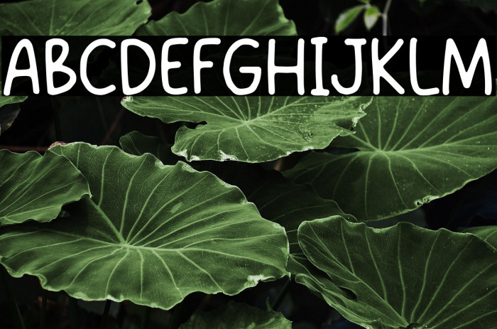 Super Magnum Example 2