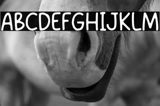 Super Magnum Font examples