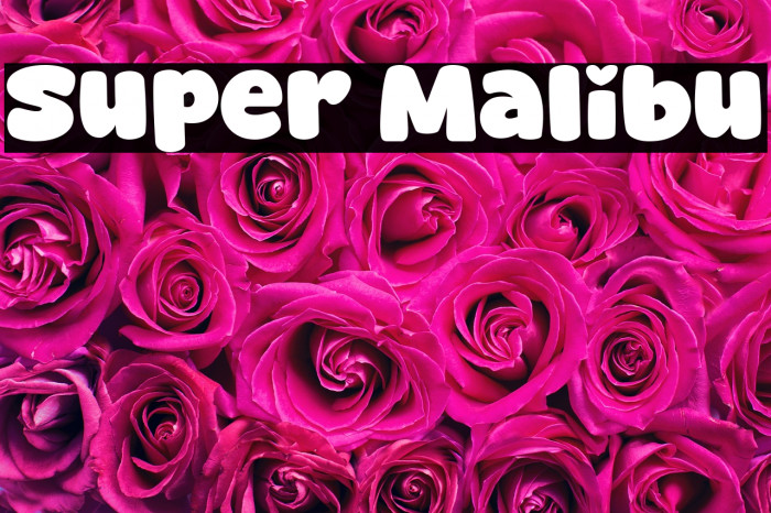 Super Malibu Example 1