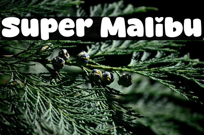 Super Malibu Example 3