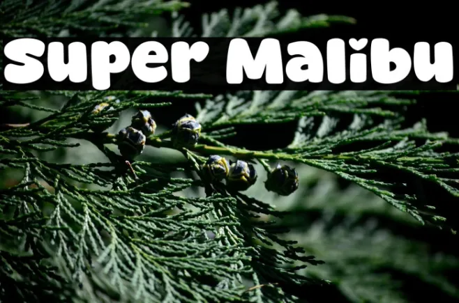 Super Malibu Example 3