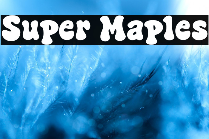 Super Maples Example 3