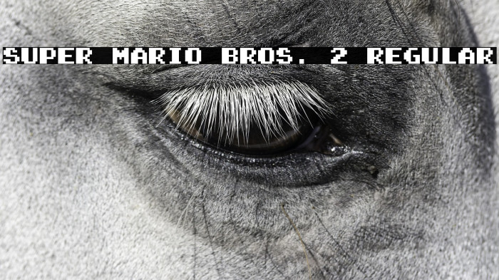 Super Mario Bros. 2 Regular Example 1