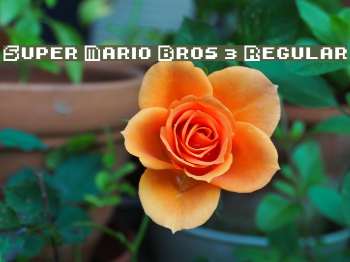 Super Mario Bros. 3 Regular Font examples