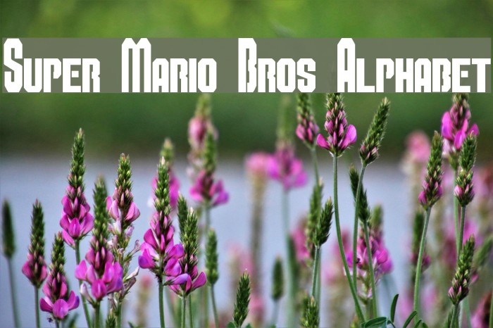 Super Mario Bros Alphabet フォント examples