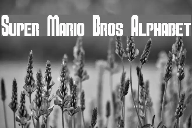 Super Mario Bros Alphabet Font examples