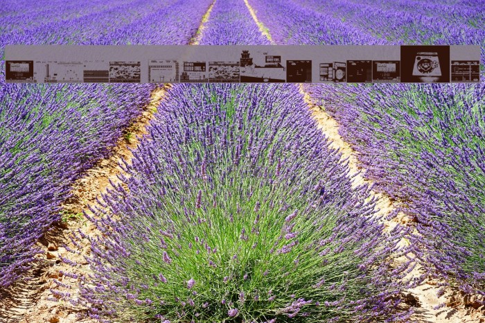 Super Mario Lost! Example 2