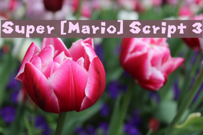 Super [Mario] Script 3 Font - FFonts.net
