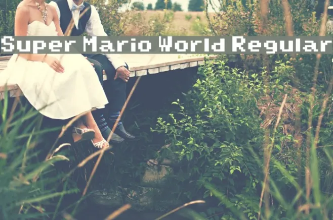 Super Mario World Regular Example 2
