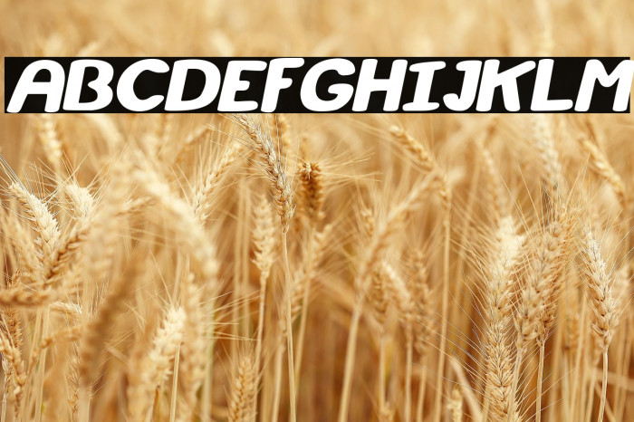 Super Marker Italic Example 2