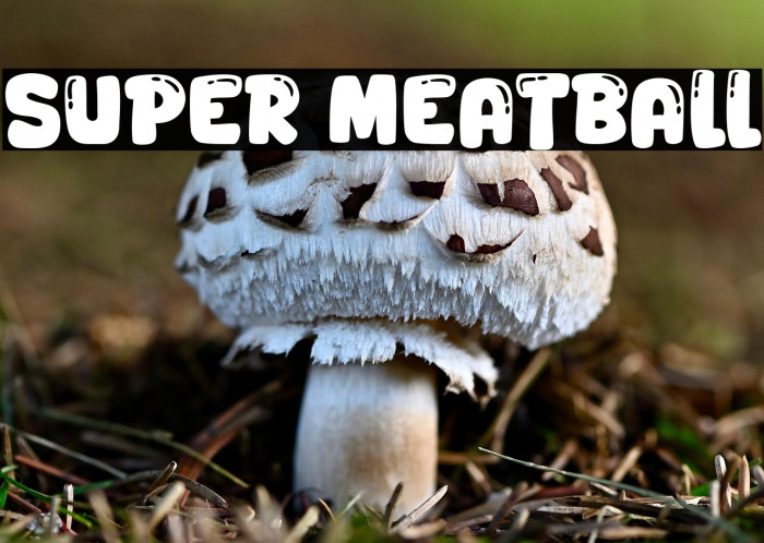 Super Meatball Example 3