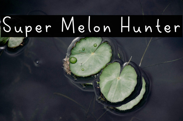 Super Melon Hunter Example 1