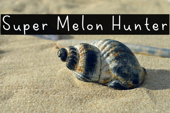 Super Melon Hunter Example 2