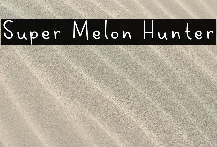 Super Melon Hunter Example 3