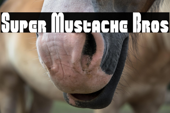 Super Mustache Bros Example 1