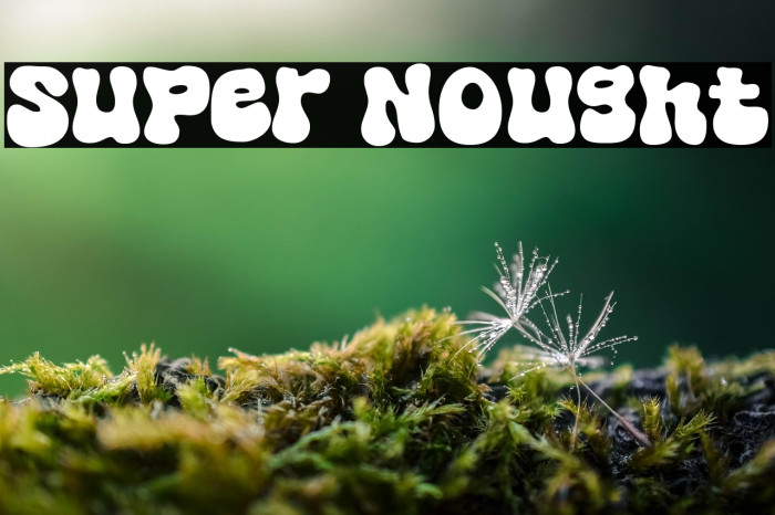 Super Nought Example 2