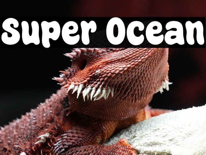 Super Ocean Example 1