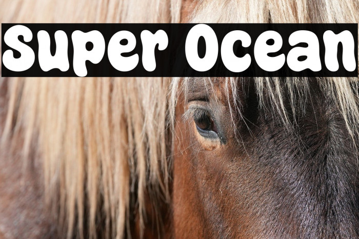 Super Ocean Example 2