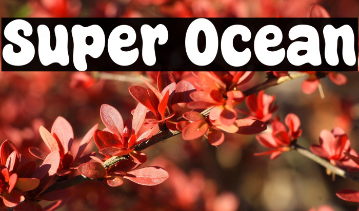 Super Ocean Example 3
