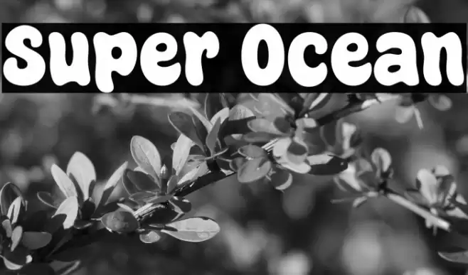 Super Ocean Font examples